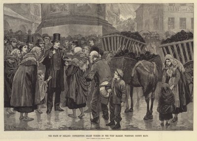 The State of Ireland, distributing Relief Tickets in the Turf Market, Westport, County Mayo by Richard Caton Woodville junior